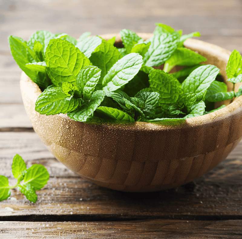 Load image into Gallery viewer, Mint – 100 Seeds
