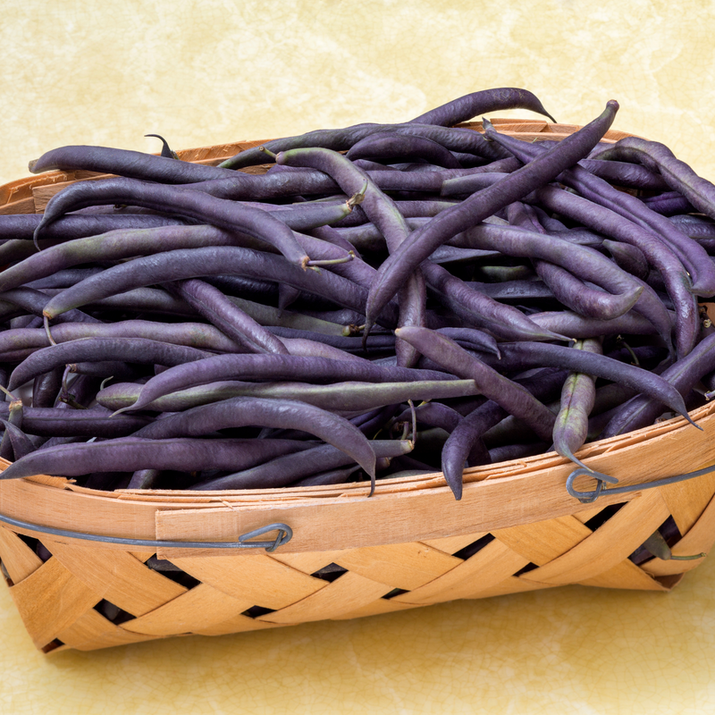 Load image into Gallery viewer, Organic Mississippi Purple Cowpeas Beans
