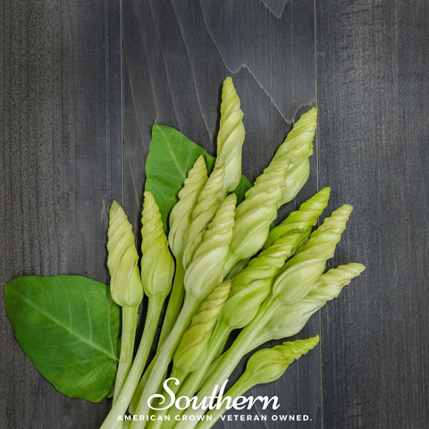 Moonflower – 25 Seeds, additional product view 2