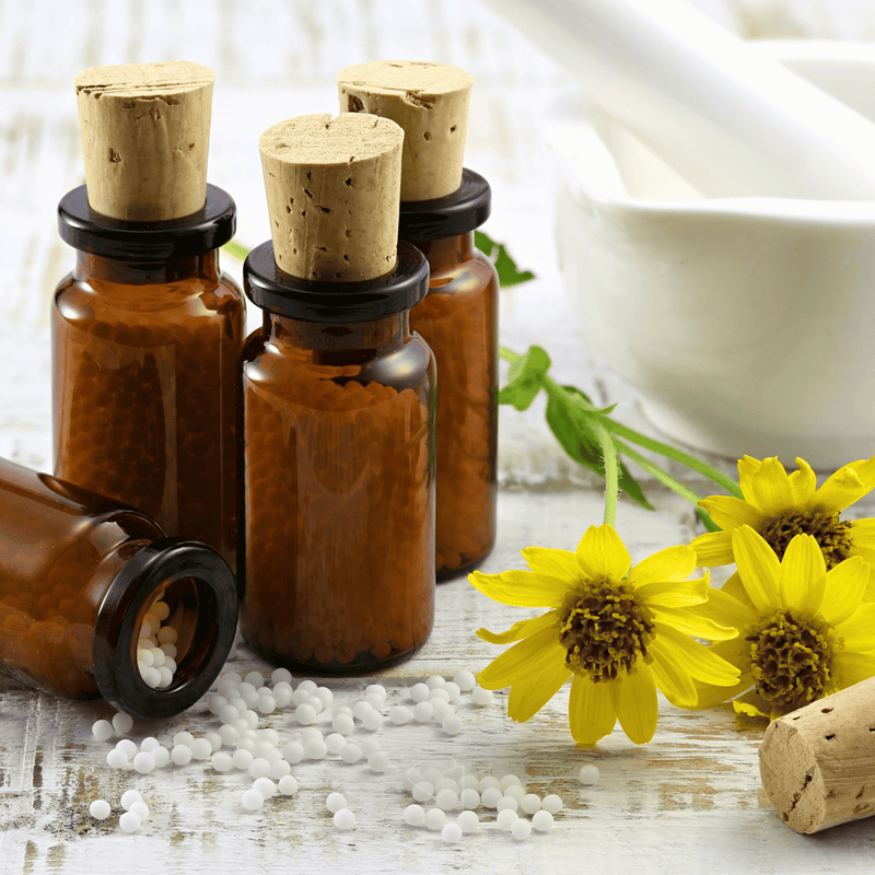Load image into Gallery viewer, Mountain Arnica – 20 Seeds

