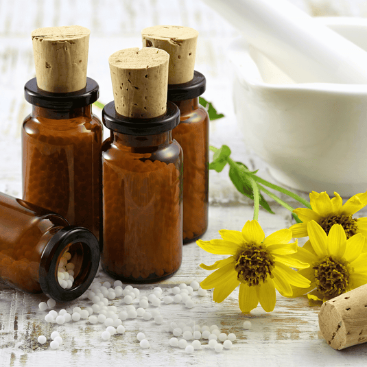 Mountain Arnica – 20 Seeds