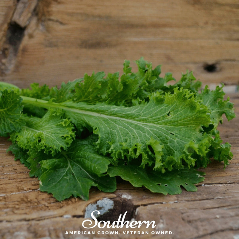 Load image into Gallery viewer, Southern Giant Mustard – 250 Seeds
