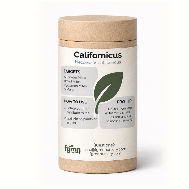 Load image into Gallery viewer, Neoseiulus californicus
