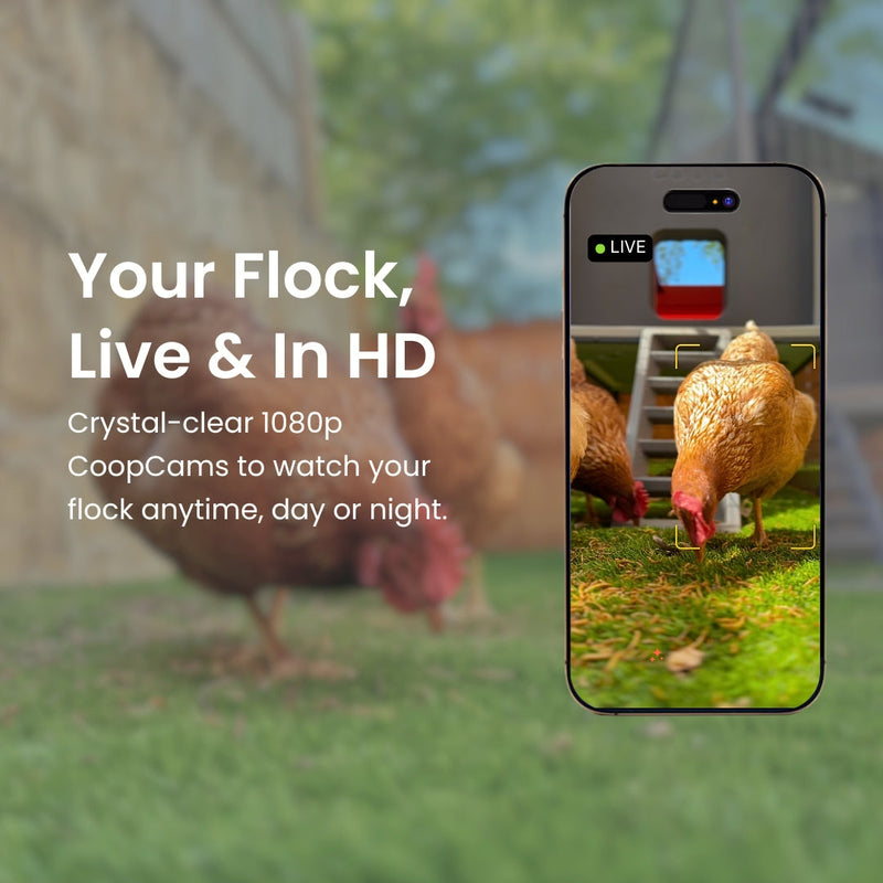 Load image into Gallery viewer, The Smart Coop
