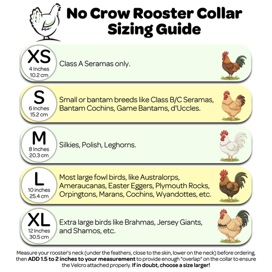 No-Crow Rooster Collar