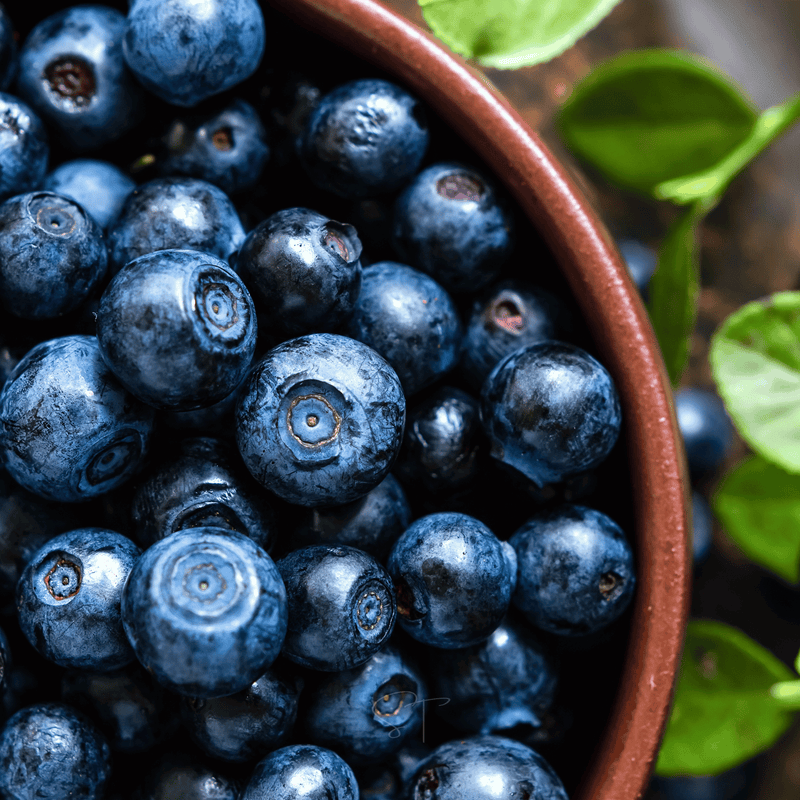 Load image into Gallery viewer, Northern Highbush Blueberry – 50 Seeds
