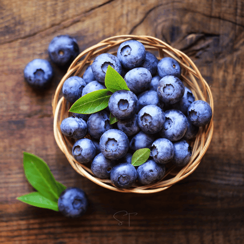 Northern Highbush Blueberry 50 Seeds