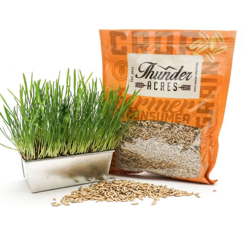 Oat Seed, USDA Certified Organic, Glyphosate Free, retail packaging