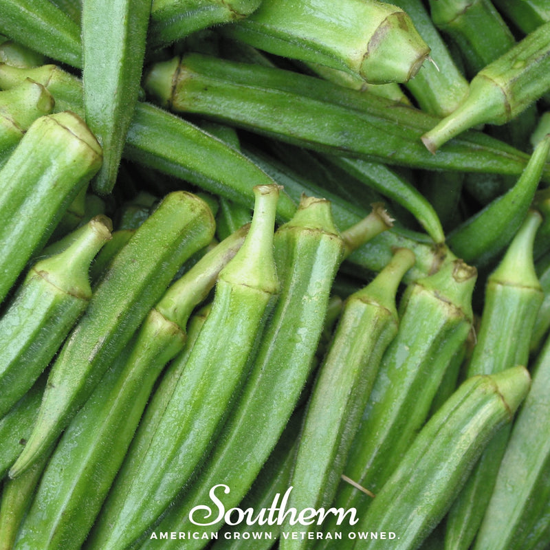 Load image into Gallery viewer, Clemson Spineless Okra – 50 Seeds
