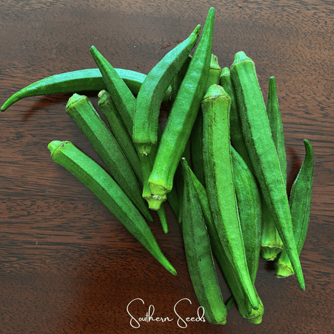 Jambalaya Okra – 50 Seeds, additional product view 2