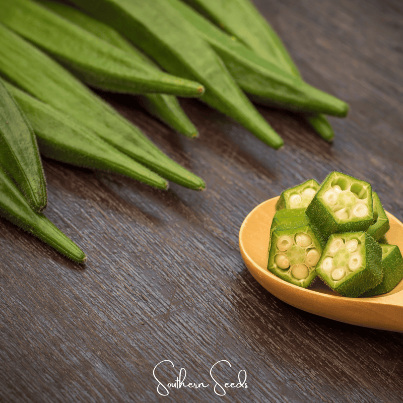 Load image into Gallery viewer, Jambalaya Okra – 50 Seeds
