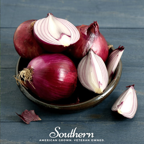 Red Burgundy Onion seeds package, 200 count, GrowTime Garden Supply