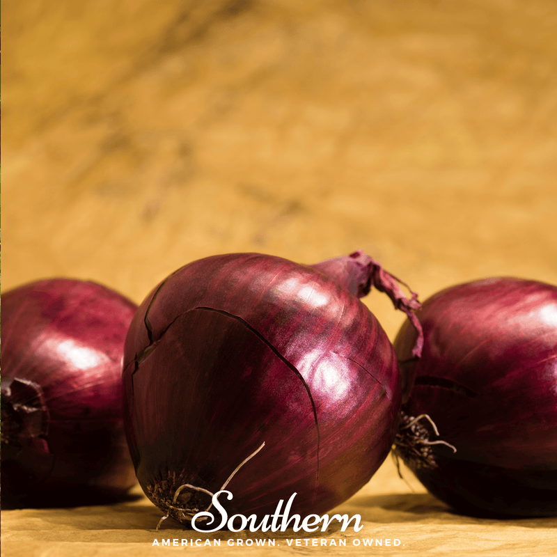 Load image into Gallery viewer, Red Burgundy Onion – 200 Seeds
