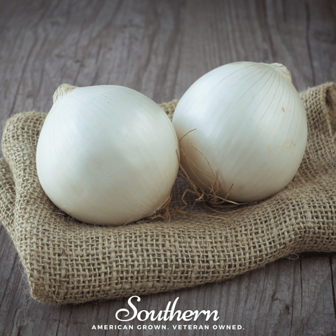 Spanish White Sweet Onion 200 Seeds