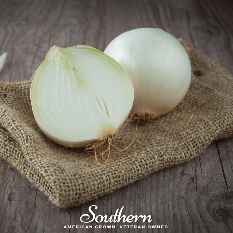 Load image into Gallery viewer, Spanish White Sweet Onion – 200 Seeds
