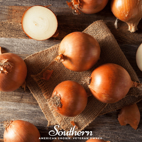 Spanish Yellow Sweet Onion – 200 Seeds, additional product view 2