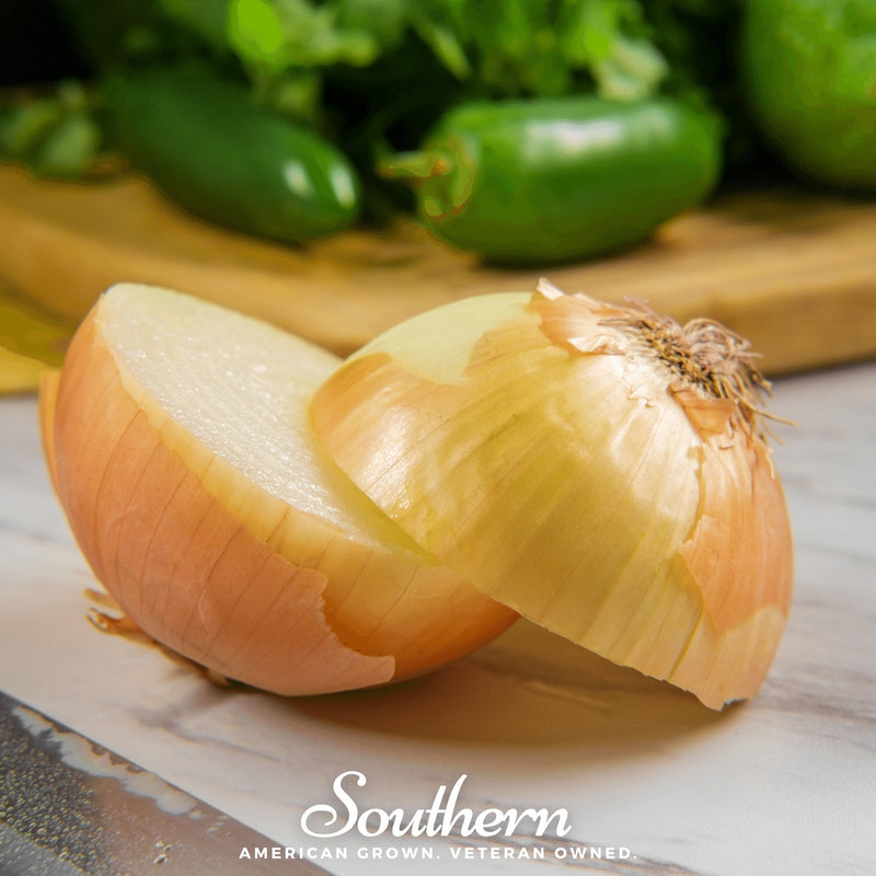 Load image into Gallery viewer, Spanish Yellow Sweet Onion – 200 Seeds
