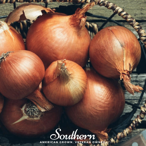 Spanish Yellow Sweet Onion 200 Seeds