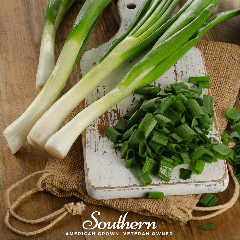 Load image into Gallery viewer, Tokyo Long White Onion – 200 Seeds
