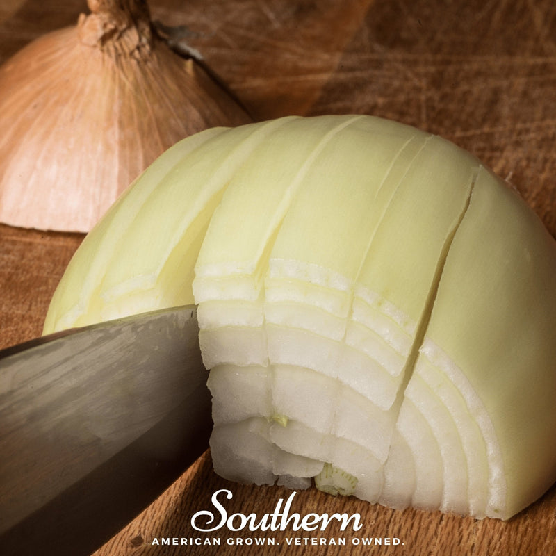 Load image into Gallery viewer, Utah Yellow Sweet Spanish Onion – 200 Seeds
