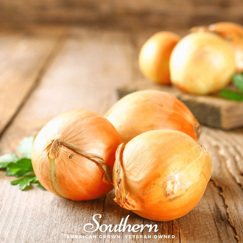 Utah Yellow Sweet Spanish Onion seeds package, 200 count, GrowTime Garden Supply