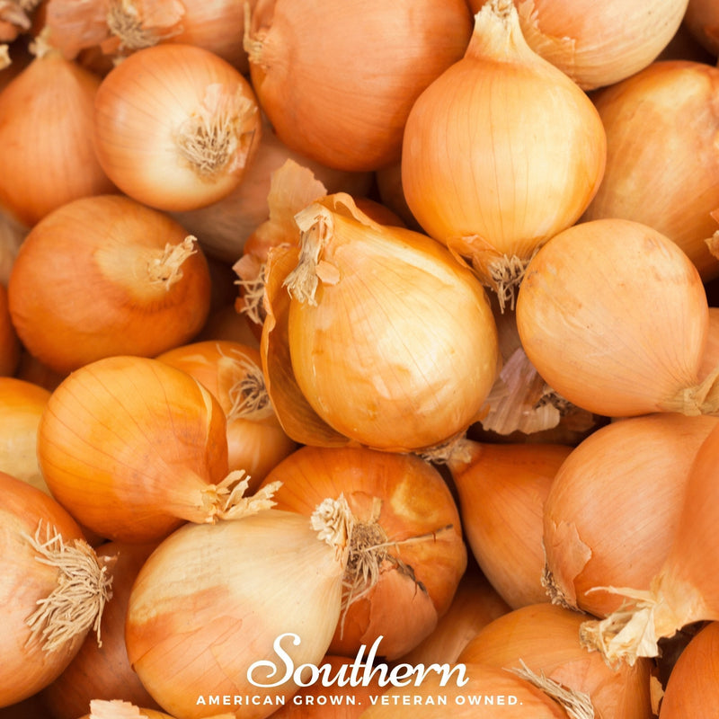 Load image into Gallery viewer, Utah Yellow Sweet Spanish Onion – 200 Seeds
