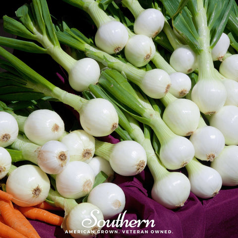 Walla Walla Onion seeds package, 200 count, GrowTime Garden Supply