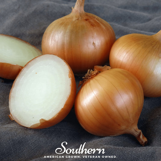 Walla Walla Onion – 200 Seeds