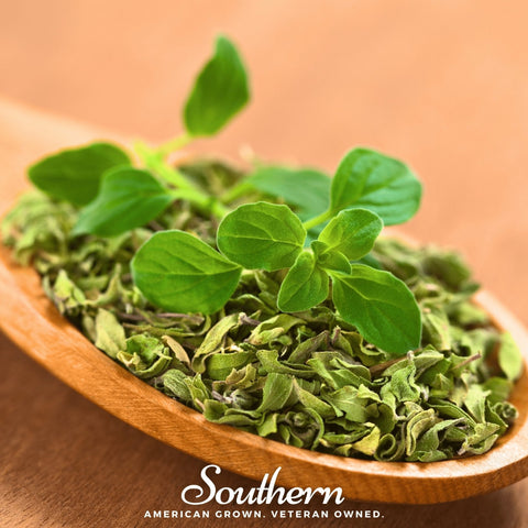 Italian Oregano – 200 Seeds, additional product view 2