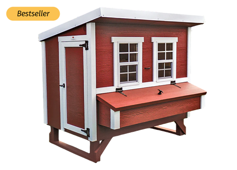 Large chicken coop for up to 15 chickens