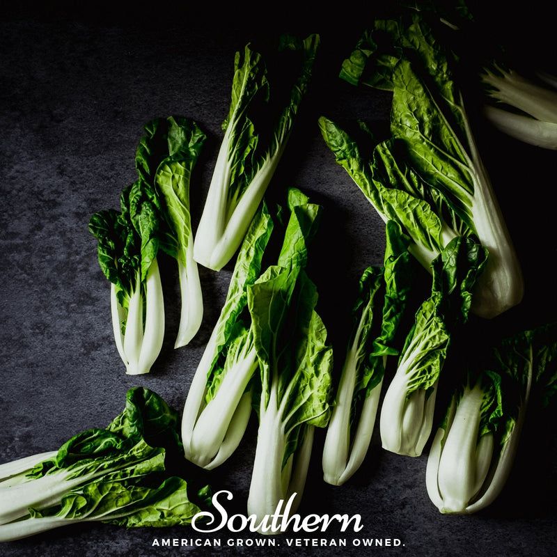 Load image into Gallery viewer, Canton Pak Choi – 100 Seeds
