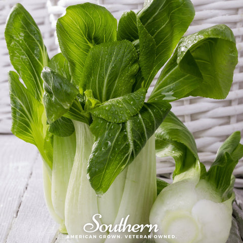 Canton Pak Choi seeds package, 100 count, GrowTime Garden Supply