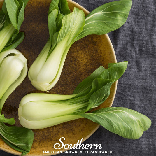 Canton Pak Choi – 100 Seeds