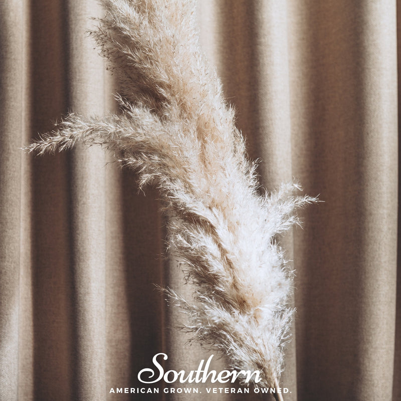 Load image into Gallery viewer, White Pampas Grass – 100 Seeds
