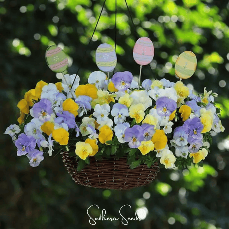 Load image into Gallery viewer, Pastel Pansy Mix – 100 Seeds
