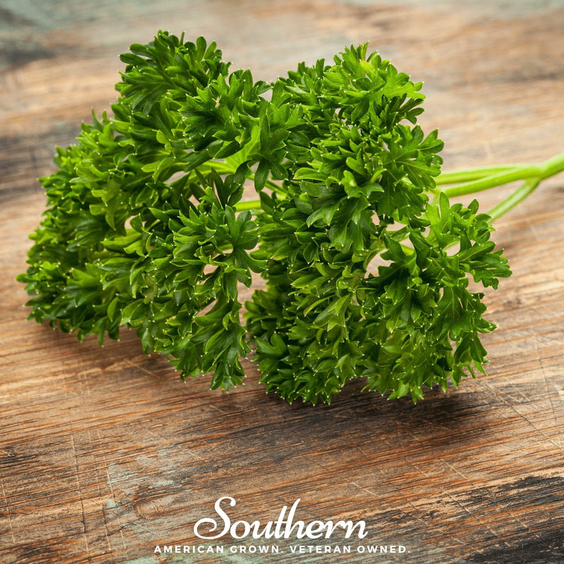Load image into Gallery viewer, Triple Curled Parsley – 200 Seeds
