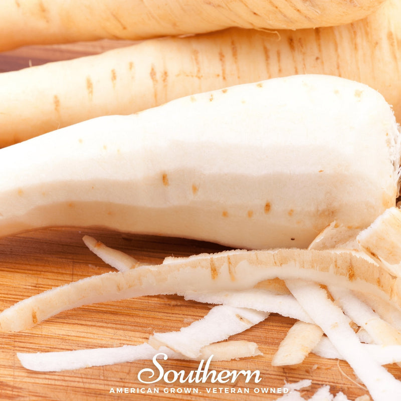 Load image into Gallery viewer, Harris Model Parsnip – 100 Seeds
