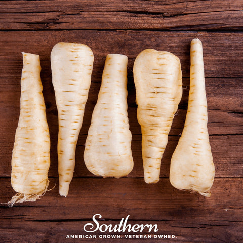 Harris Model Parsnip seeds package, 100 count, GrowTime Garden Supply
