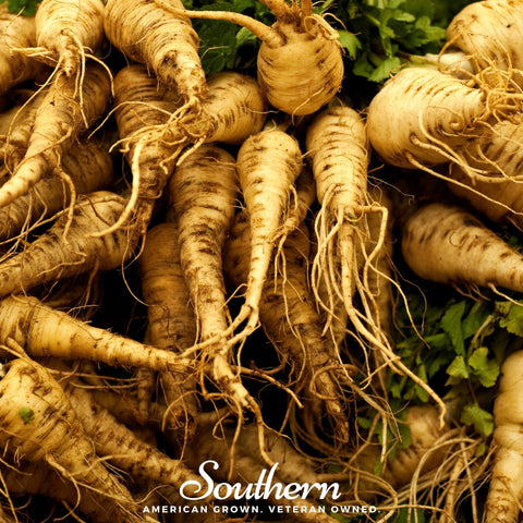 Harris Model Parsnip – 100 Seeds, additional product view 2