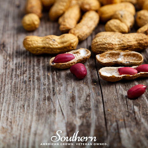 Tennessee Red Peanuts 10 Seeds