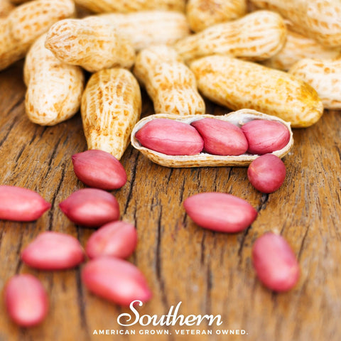 Tennessee Red Peanuts – 10 Seeds, additional product view 2