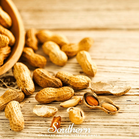 Virginia Jumbo Peanuts – 10 Seeds, additional product view 2
