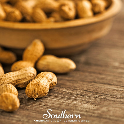 Virginia Jumbo Peanuts 10 Seeds