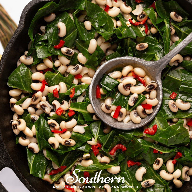 Load image into Gallery viewer, California Blackeye Peas – 20 Seeds
