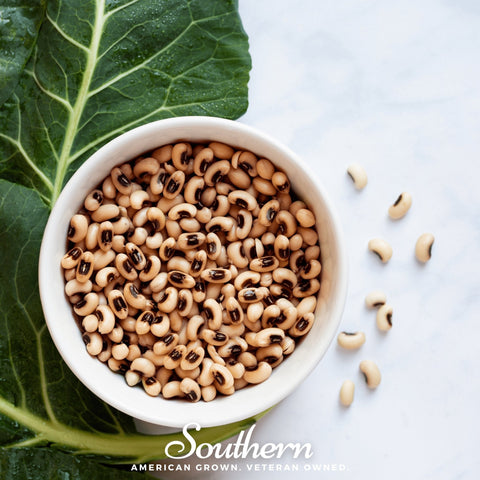 California Blackeye Pea seeds package, 20 count, GrowTime Garden Supply