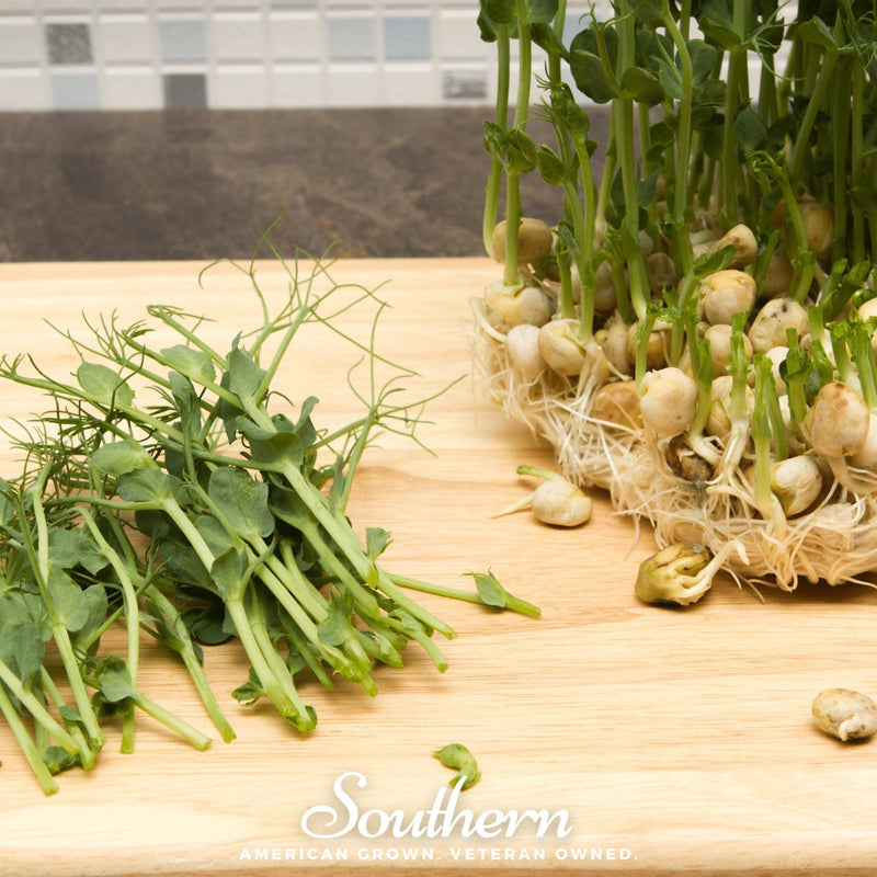 Load image into Gallery viewer, Dwarf Grey Sugar Peas – 100 Seeds
