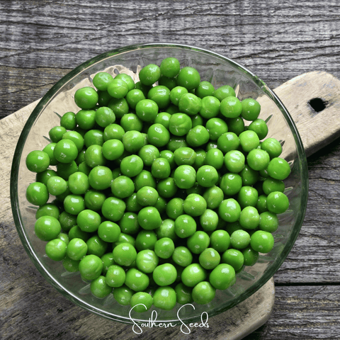 Early Frosty Peas – 25 Seeds, additional product view 2