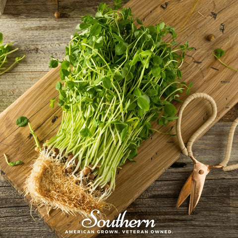 Field Shoots Peas 100 Seeds
