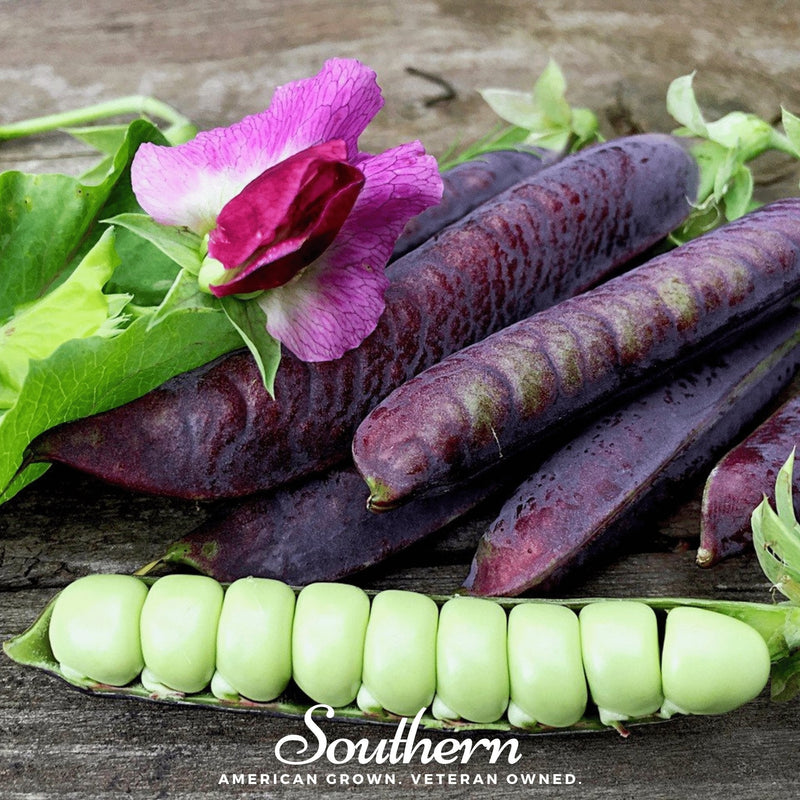 Load image into Gallery viewer, Royal Snap II Peas – 20 Seeds
