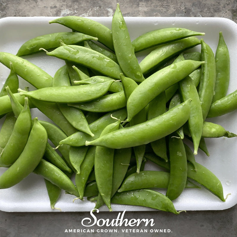 Load image into Gallery viewer, Sugar Snap Peas – 20 Seeds
